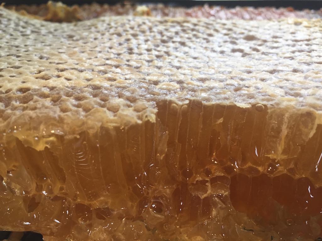 Honeycomb - photo 1